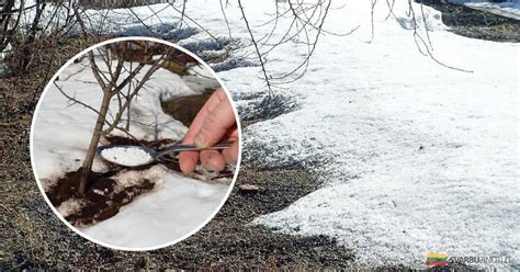 Infografika: kaip tinkamai daryti posūkius su motociklu