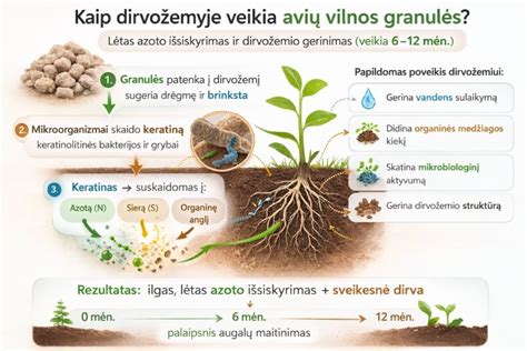 Infografika: kaip veikia antikorozinė danga ir jos sluoksniai