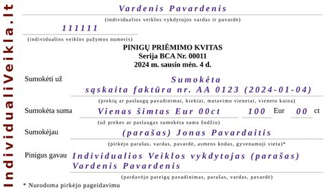 Inografika: Privalomi rekvizitai ant parkavimo kvito