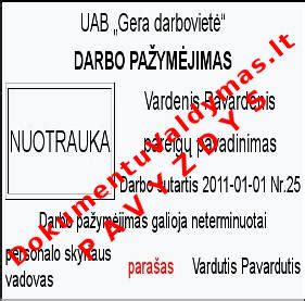 ADR pažymėjimo pavyzdys