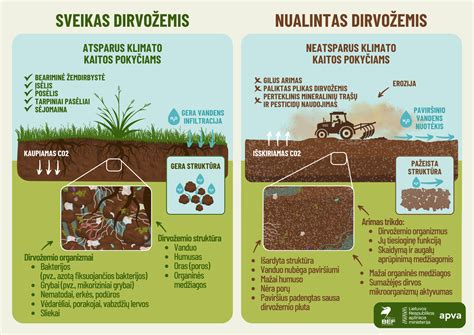 Infografika: Azoto ir oro molekulinės struktūros palyginimas ir slėgio kaita padangose