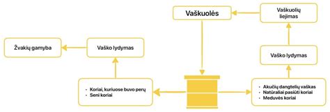 Schema, iliustruojanti, kaip modernios automobilių sistemos (pvz., ESP) naudoja ratų greičio jutiklius tiksliam greičiui nustatyti.