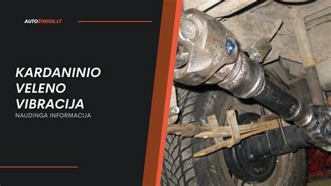 automobilio kardaninio veleno schema su paaiškinimais
