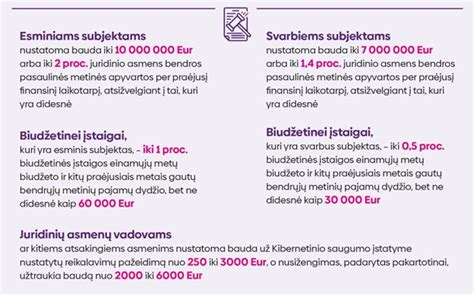 Infografika, paaiškinanti Saugumo įnašo įstatymo pagrindinius terminus ir sąvokas