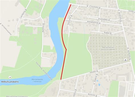 Schema: Teisingas važiavimas kelkraščiu ir pėsčiųjų taku, atsižvelgiant į pėsčiuosius