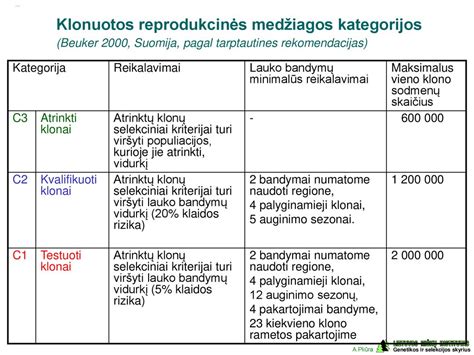 Infografika, vaizduojanti klaidų klasifikaciją: KK (egzamino pabaiga), NK (leistinas skaičius) ir SPK (pasikartojančios klaidos)