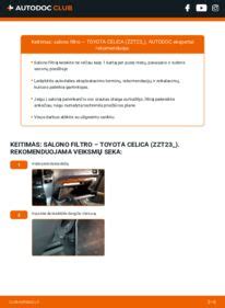 Salono filtro keitimo intervalų infografika
