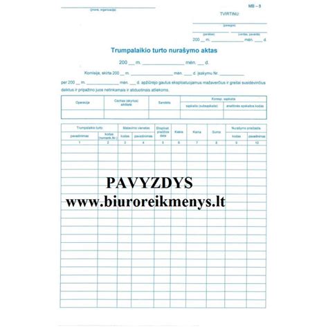 Infografika, vaizduojanti skirtumus tarp trumpalaikio ir ilgalaikio turto kategorijų transporto sektoriuje