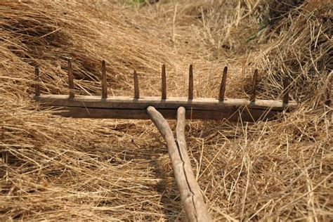 Vejos aeravimo grėblys darbe, šalinantis samanas ir veltinį