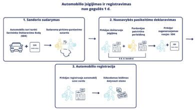 Transporto priemonių savininkų sistemos veikimo principų schema
