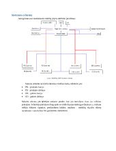 Stabdžių sistemos schema su stiprintuvu