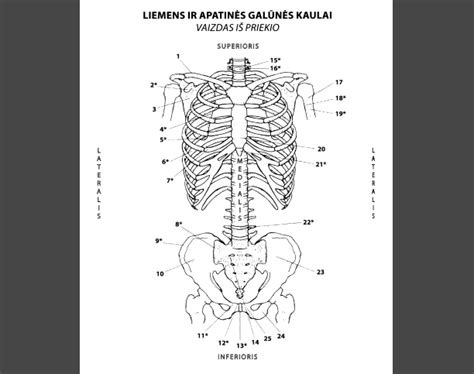 Subaru Outback 2.5 automobilio vaizdas iš priekio, demonstruojantis jo tvirtą ir funkcionalų dizainą