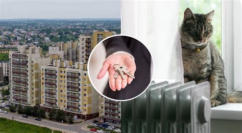 lentelė, lyginanti vidutines degalų kainas skirtinguose Norvegijos miestuose