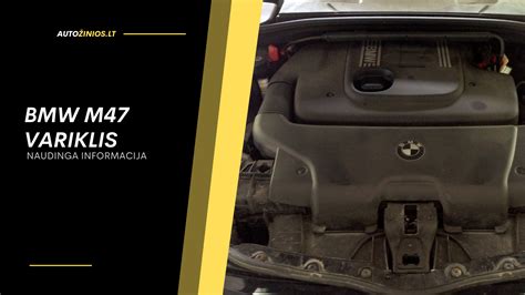 Schema, iliustruojanti BMW E60 520d variklio M47 ir N47 skirtumus bei jų pagrindines problemas.