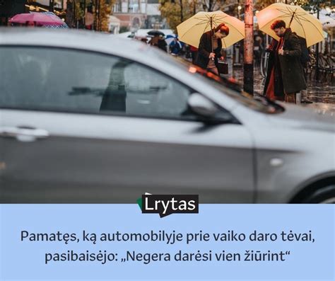 Tematinė nuotrauka: žmonės, susikaupę prie žemėlapio automobilyje