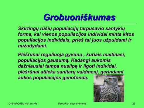 Infografika: temos ryšiai tarp gimtinės, motinos meilės ir kelionių