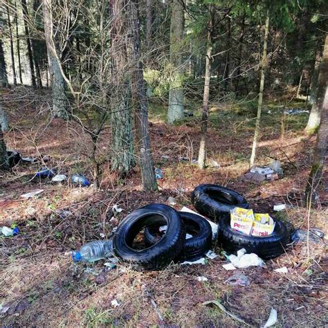 Infografika su vidutinėmis padangų keitimo kainomis Garliavoje