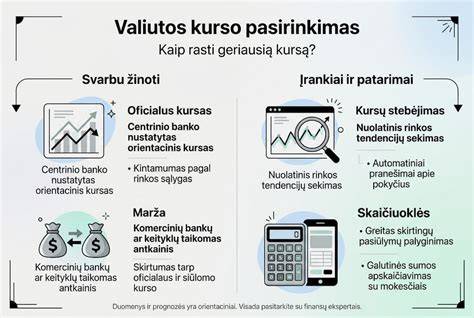 Infografika: Kaip pasirinkti įkrovimo šaltinius automobiliuose