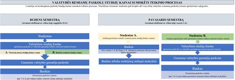 schema apie paraiškų teikimo procesą per APVIS sistemą