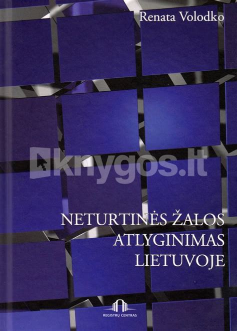 Infografika apie neturtinės žalos dydžio nustatymo kriterijus