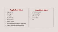 automobilio drėgmės sugėriklio sandara ir veikimo principas (infografika)
