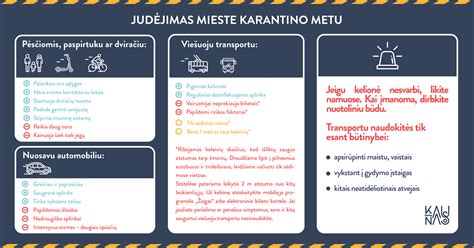 Svarbių patarimų ir įspėjimų infografika, susijusi su valytuvų priežiūra