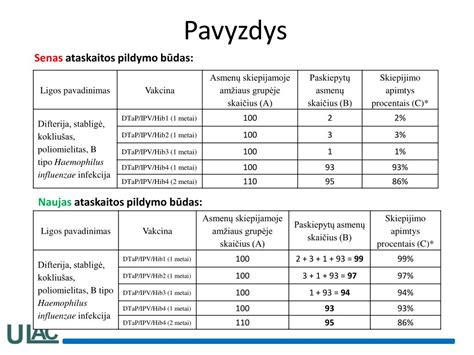 Generatoriaus patikros ataskaita (pavyzdys)