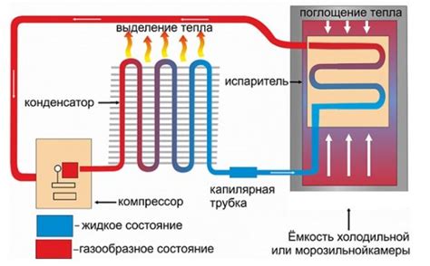 kompresorinio automobilinio šaldytuvo schema