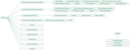 Diagrama, rodanti autoparko išlaidų struktūrą ir taupymo galimybes