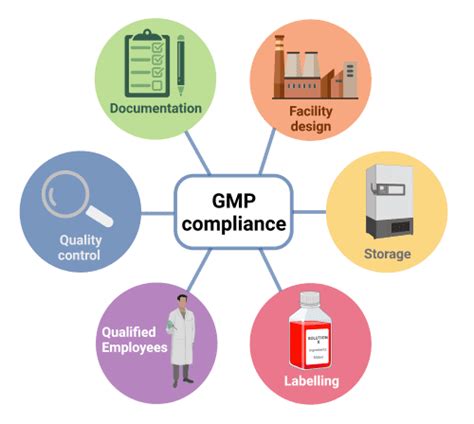 Schema: GMP vairuotojo kvalifikacijos kėlimo modelis