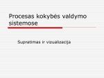 Lizingo skaičiuoklės vizualizacija ir patikrinimo procesas