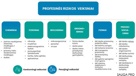 Infografika: Vairuotojų draudimo statistika ir rizikos
