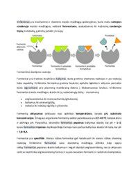 Infografika: SDK suteikimo procesas ir jo reikšmė