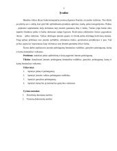Schema: KASKO kainos veiksniai