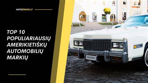 Infografika: Amerikos automobilių markių kilmė ir jų priklausomybės kontūrai