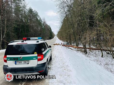 Profesionalus vairuotojas krauna automobilį ant tralo
