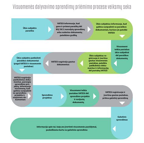 Informacijos paieškos ir alternatyvių sprendimų schema