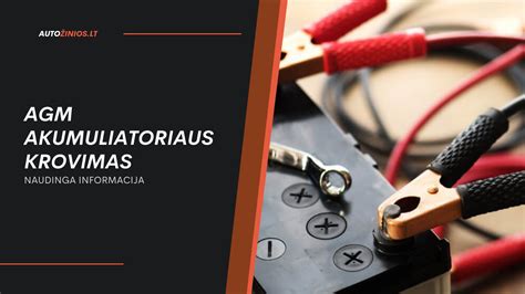 Schema, iliustruojanti AGM akumuliatoriaus sandarą