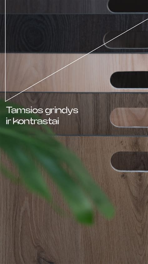 interjero nuotrauka su akcentu ant erdvių galinių sėdynių ir odinio apmušalo