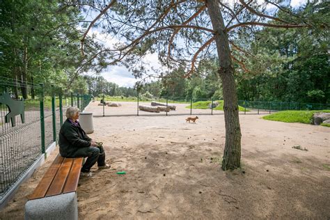 Žemėlapis: Šunų vedžiojimo aikštelės Vilniuje