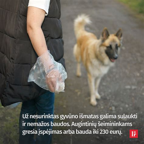 Schema: Baudų dydžiai už šunų vedžiojimo taisyklių pažeidimus