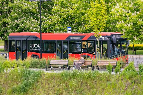 Autobusas per pėsčiųjų perėją