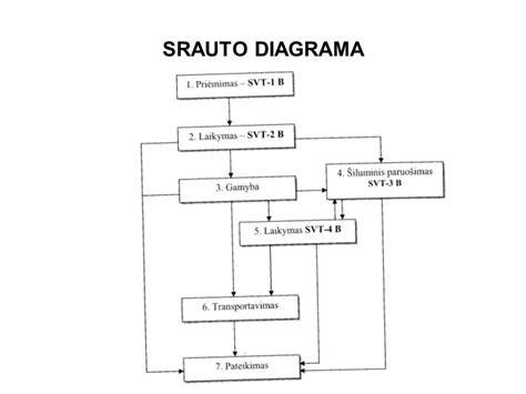 Srauto diagrama: veiksmai patikrinus vairuotojo pažymėjimo statusą „Regitros“ sistemoje