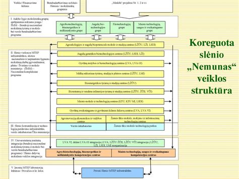 Schema: Leidžiama ir draudžiama veiklos samdymo modelio su verslo liudijimu ir individualia veikla palyginimas juridiniams asmenims