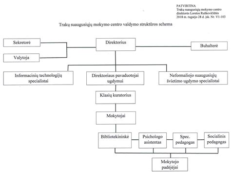schema: vairavimo mokymo proceso struktūra ir pagrindiniai etapai