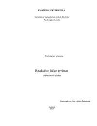 Akumuliatoriaus elektrocheminės reakcijos schema esant skirtingoms temperatūroms