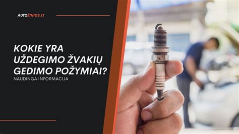 Infografika: uždegimo žvakių keitimo intervalai pagal tipą