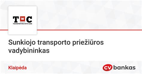 Sunkiojo transporto veidrodėliai