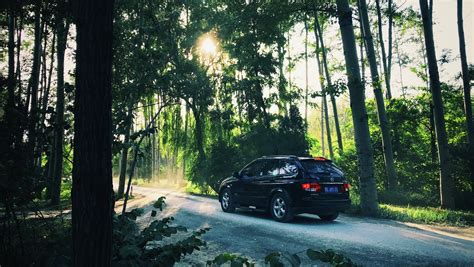 Automobilis su papildomais tolimųjų šviesų žibintais važiuoja tamsiu miško keliu