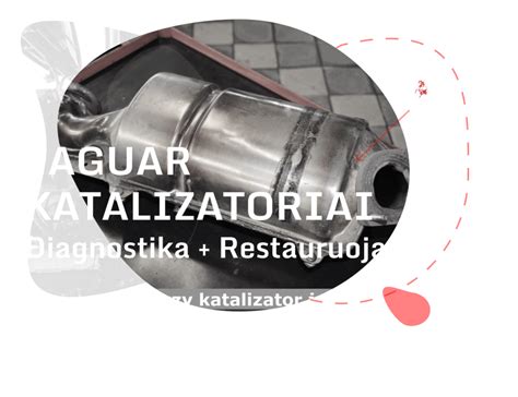 infografika, lyginanti dyzelinių ir benzininių katalizatorių sudėtį ir veikimą